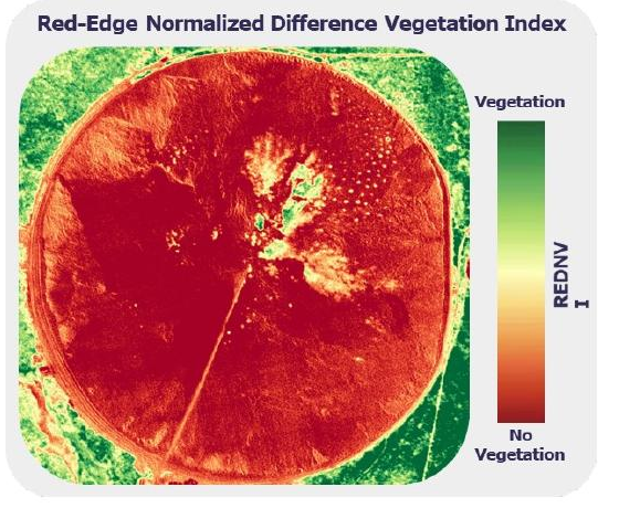Tailings Pond Vegetation Health Index