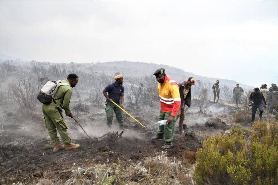 Firefighters on Mount Kilimanjaro