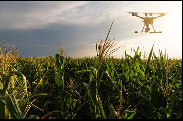 Drone Spraying