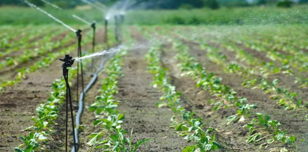 Precision Irrigation