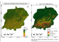 Crop Yield Prediction in Mbarali District Mbeya Region