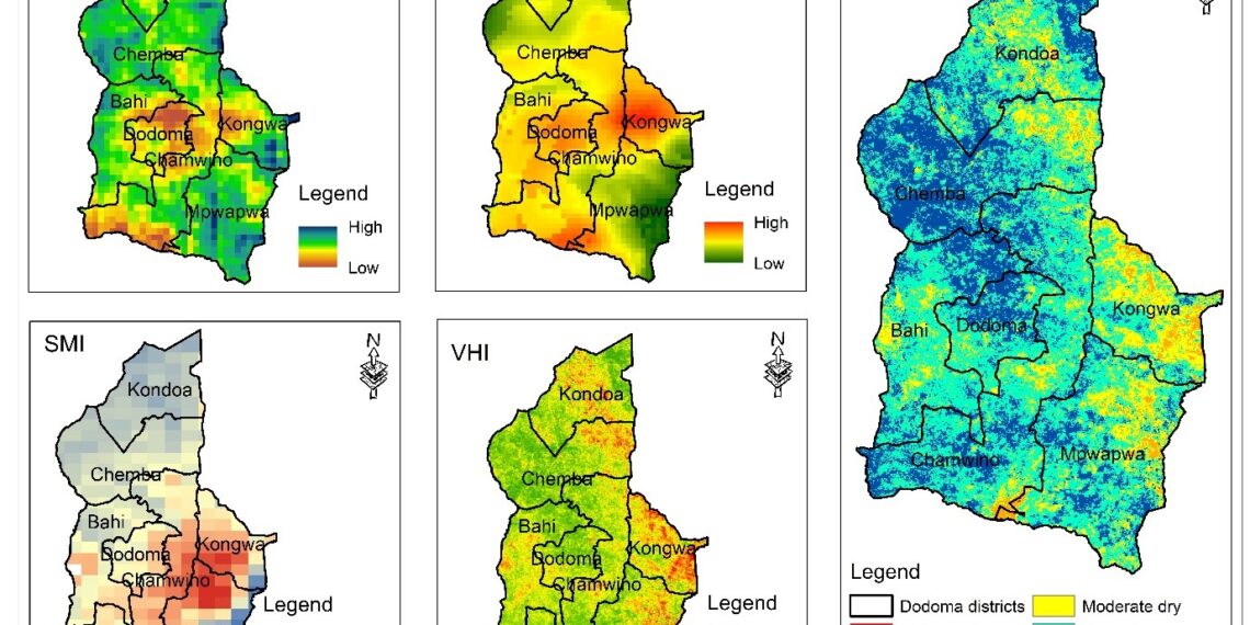 Drought Assessment In Dodoma Region