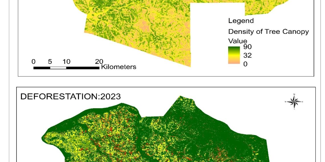 Forest Management in Ulyankulu Forest Reserve Kaliua Tabora
