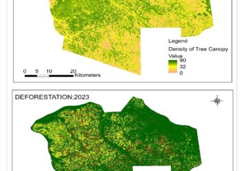Forest Management in Ulyankulu Forest Reserve Kaliua Tabora