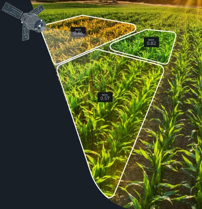 Normalized Difference Vegetation Index (NDVI)