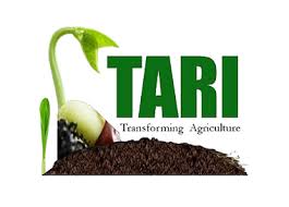 TARI TANZANIA